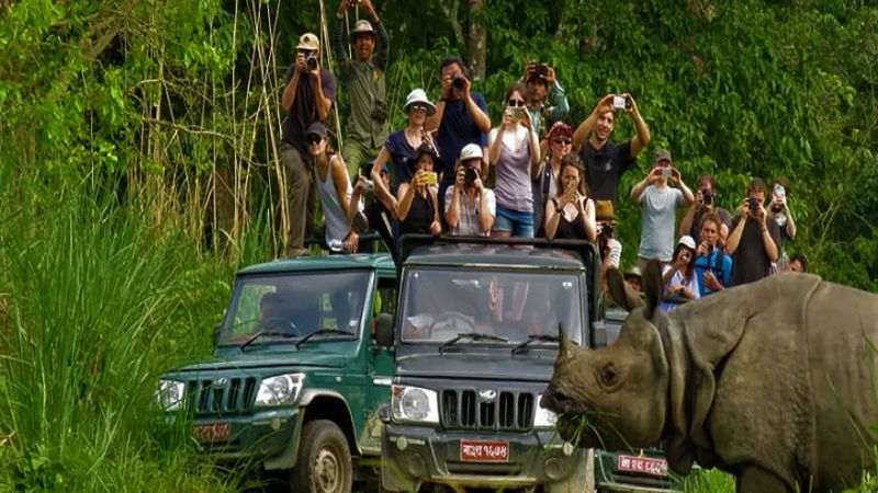 Chitwan tour
