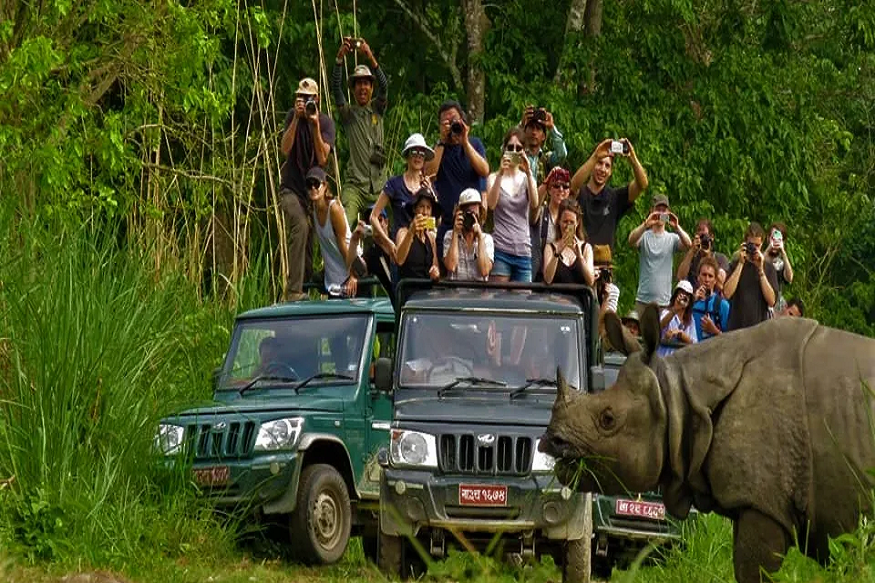 Explore the Wild of Nepal: Chitwan Tour, Safari Packages & Cost Breakdown