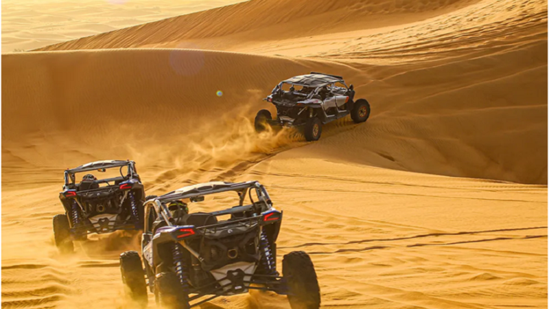 Dune Buggy vs Quad Bike
